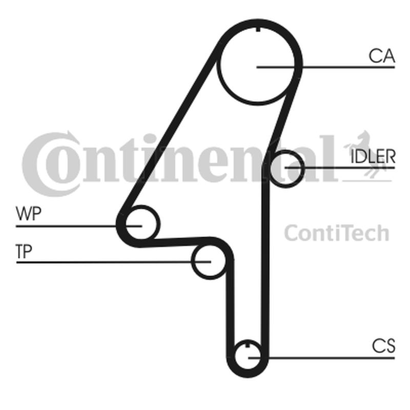 CONTITECH CT1010WP1