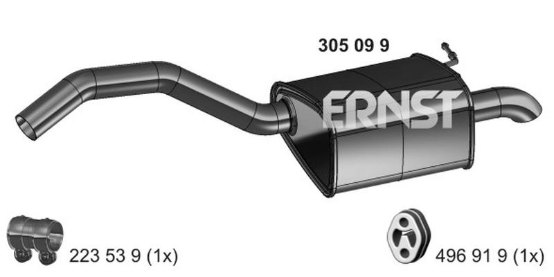 ERNST 305099