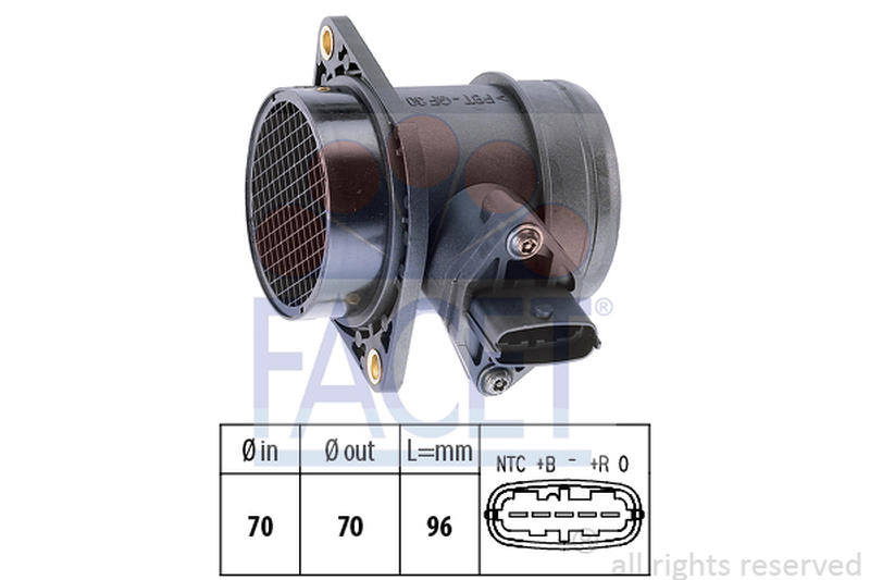 FACET 10-1031