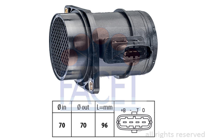 FACET 10-1299