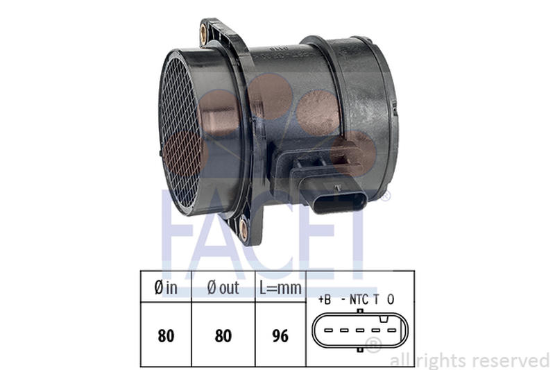 FACET 10-1376