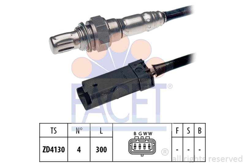 FACET 10-8205