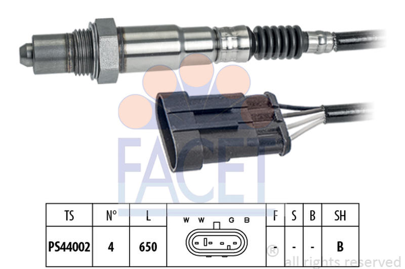 FACET 10-8241
