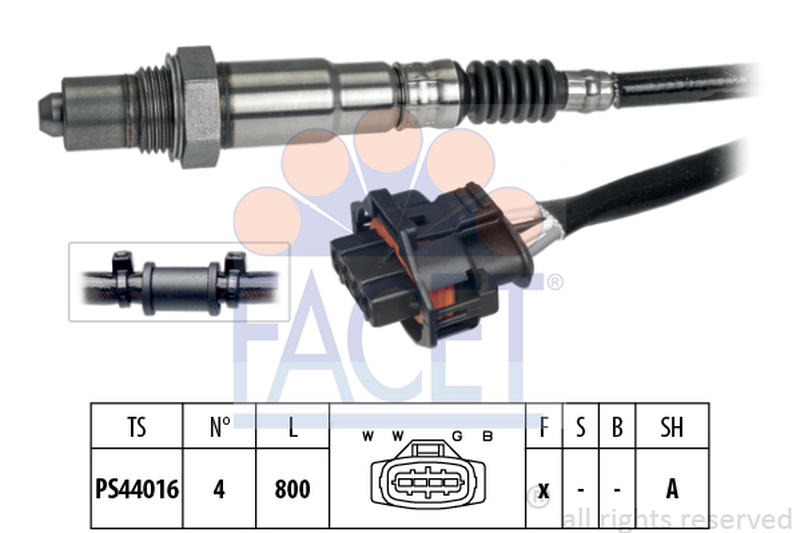 FACET 10-8263