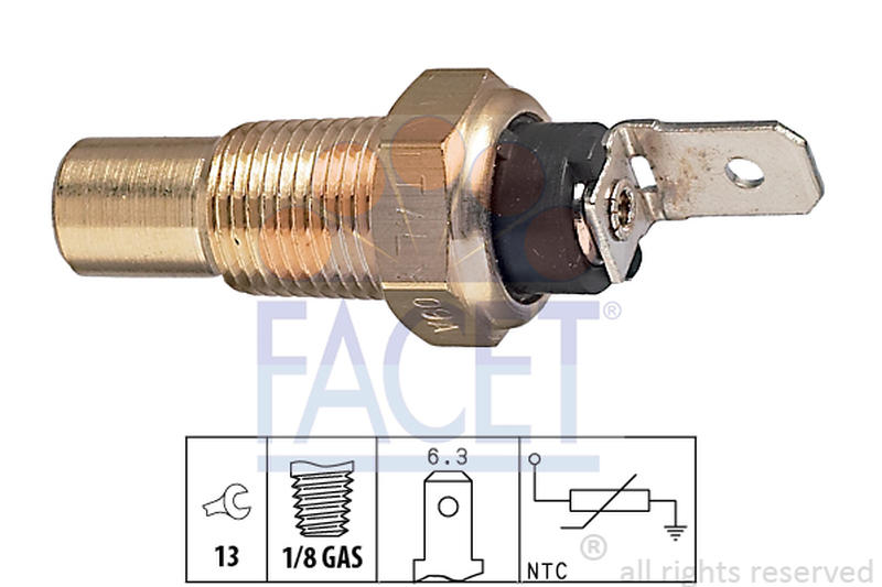 FACET 7-3079