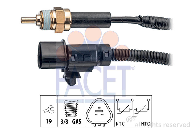 FACET 7-3374