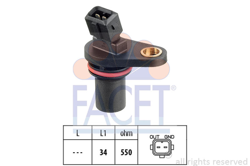 FACET 9-0043