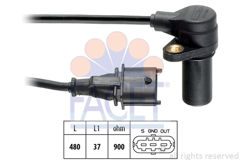 FACET 9-0169