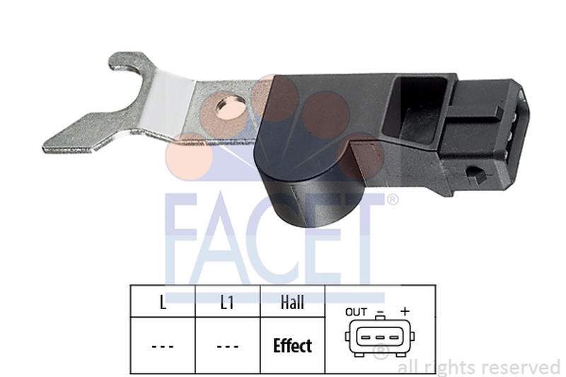 FACET 9-0313