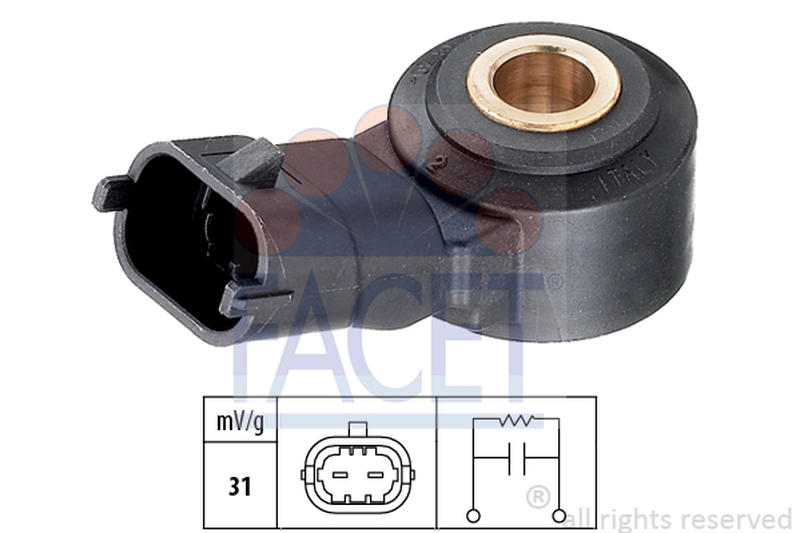 FACET 9-3006