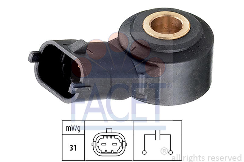 FACET 9-3009