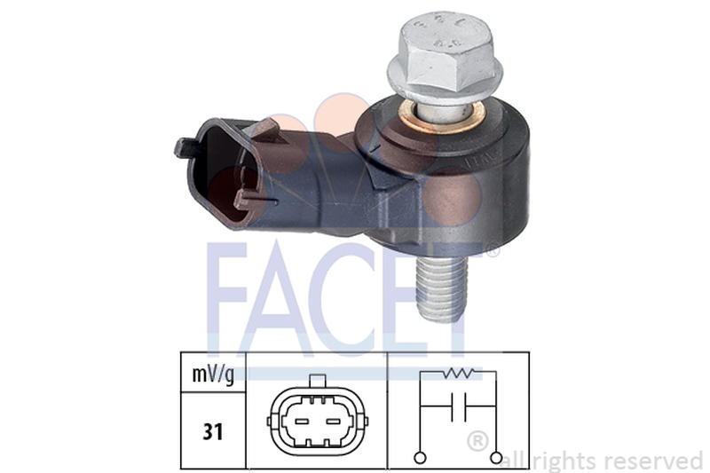 FACET 9-3012