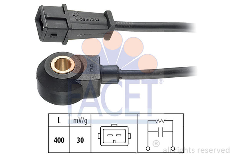 FACET 9-3062