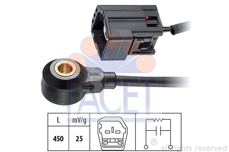 FACET 9-3091