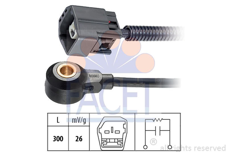 FACET 9-3191