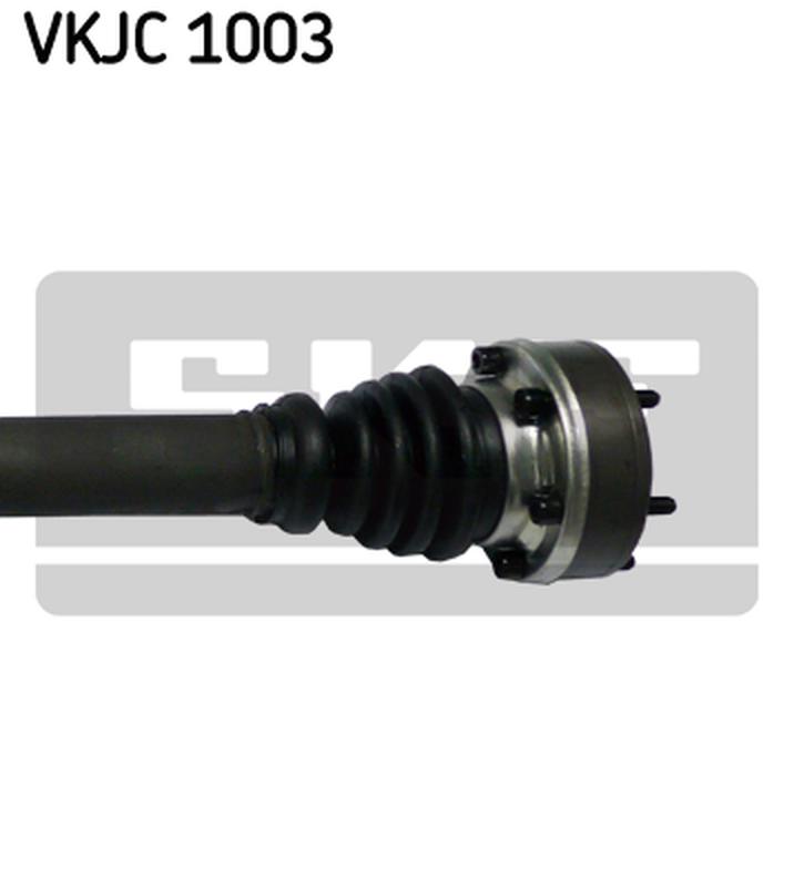 SKF VKJC-1003-3