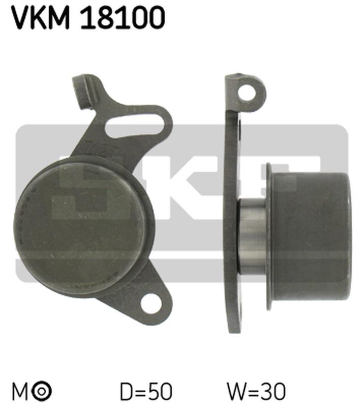 SKF VKM-18100