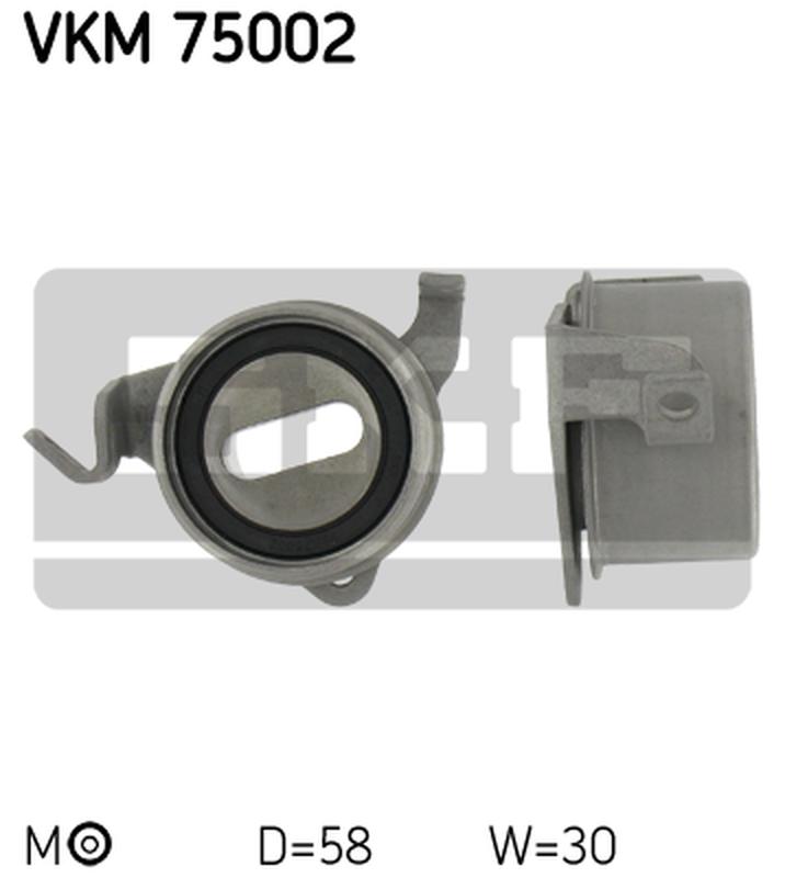 SKF VKM-75002