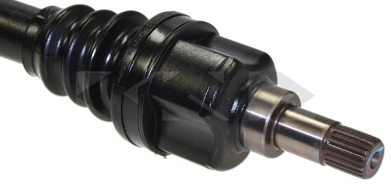 SPIDAN 21128-3