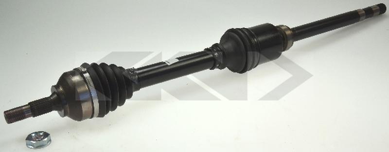 SPIDAN 21968