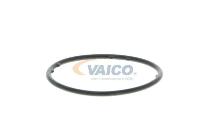 VAICO V10-50003-2