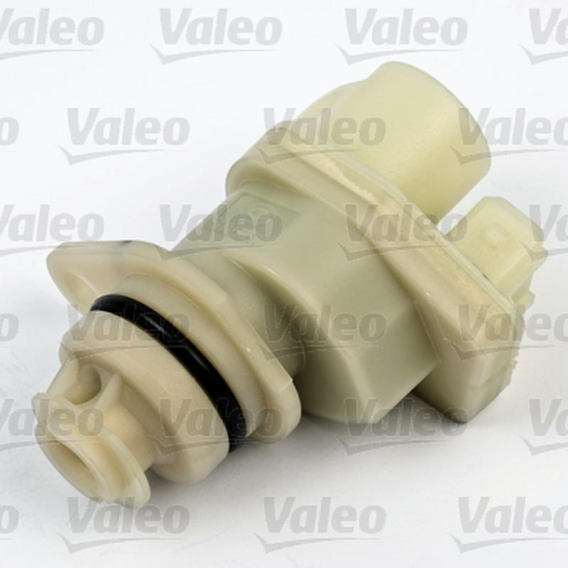 VALEO 255303