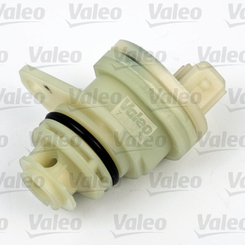 VALEO 255304