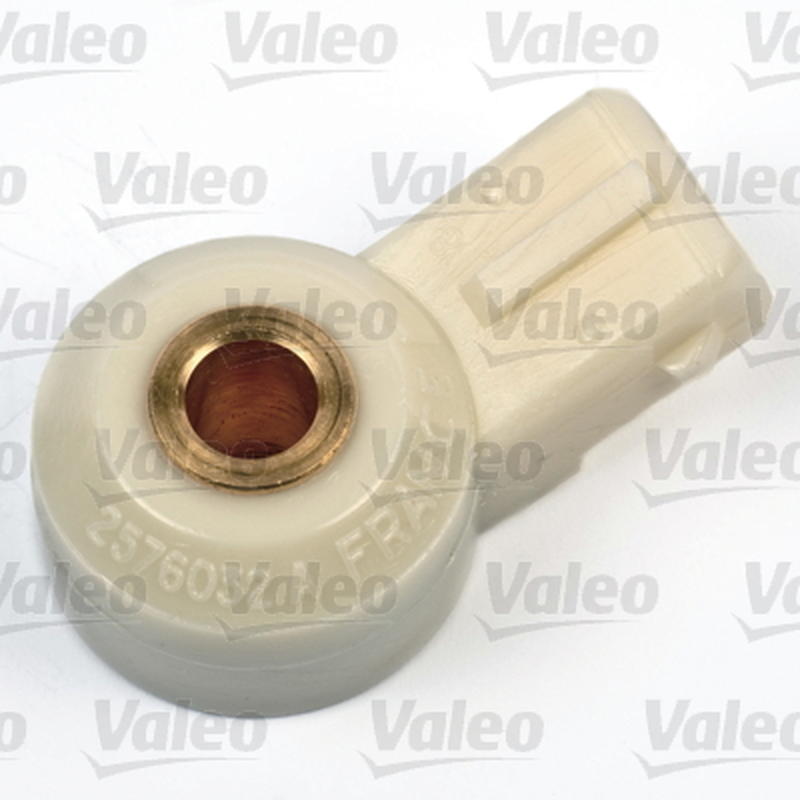 VALEO 255401